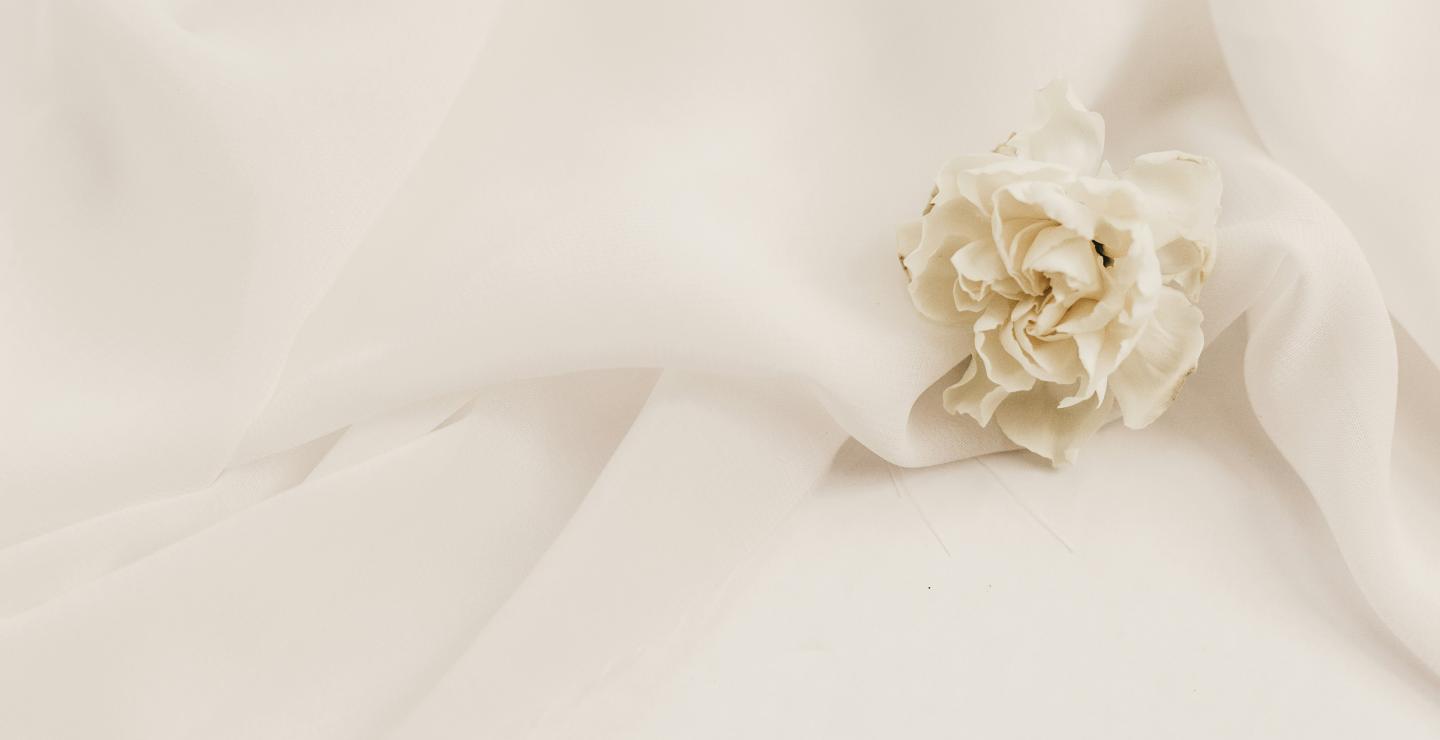 a close up of a flower