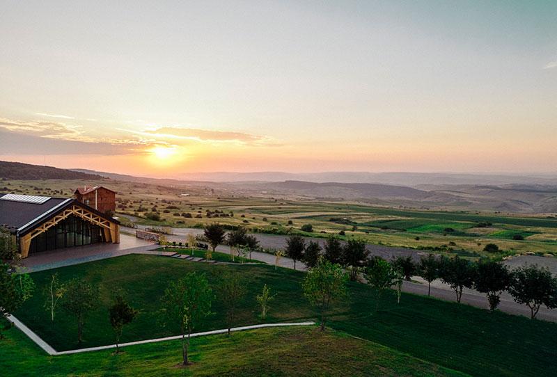 grass,outdoor,green,house,field,water,sheep,building,lush,grazing,grassy,hill,sunset,view,large,overlooking,hillside,herd,sign,country,standing,street,track,city,ocean,man,horse